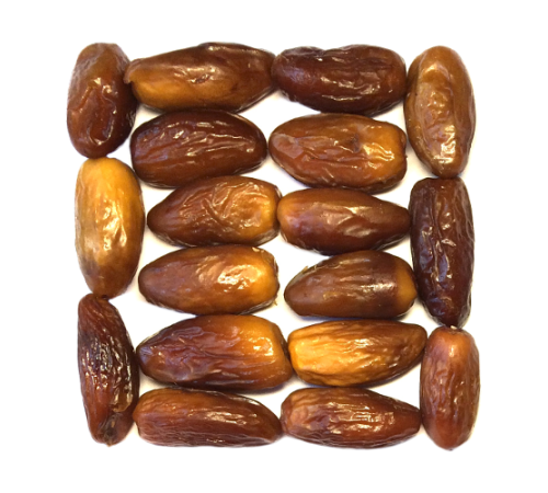 Финики алжирские