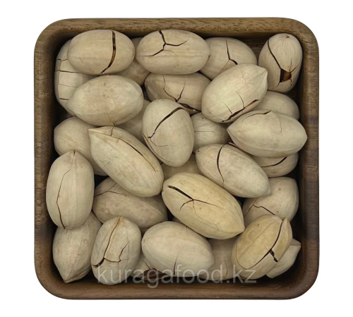 Пекан в скорлупе светлый