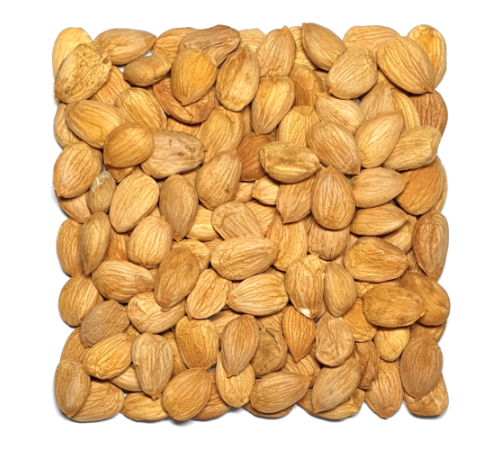 Ядра абрикосовых косточек сырые